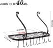 Wall Mount Pot Pan Rack Kitchen Cookware Storage Organizer 24 by 10 in with 10 Hooks