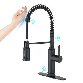 Touch Kitchen Faucet with Pull Down Sprayer (Color: Matte Black)